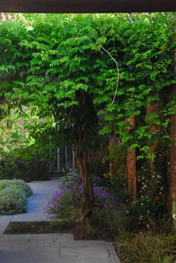 Nostra Signora Bed & Breakfast บรูจส์ ภายนอก รูปภาพ